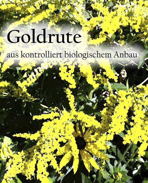 Goldrute. [50g] - Kräuterhof Zach