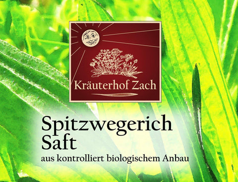 Spitzwegerich Saft. [250ml] - Kräuterhof Zach
